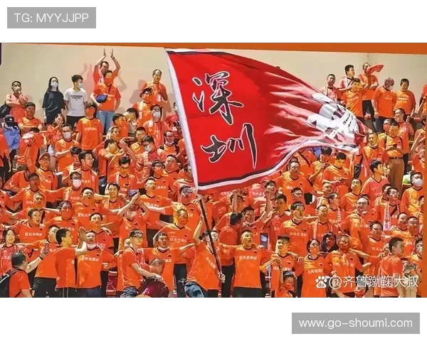 广州队深圳队面临解散危机 足协清欠名单透露生存难题 广州队深圳队面临解散危机 足协清欠名单透露生存难题
